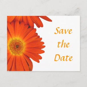 Carte Postale Faire-part enregistrer la date, fleurs de marguerite gerbera