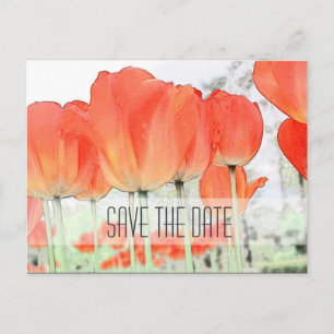Carte Postale Faire-part Enregistrer la date, fleurs de tulipe rouge photo