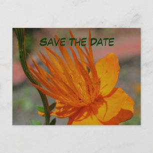 Carte Postale Faire-part Enregistrer La Date Orange Flower Photocard Postca