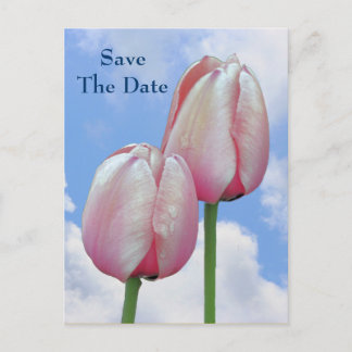 Carte Postale Faire-part Enregistrer la date Pink Tulips Blue Sky Flower Ca