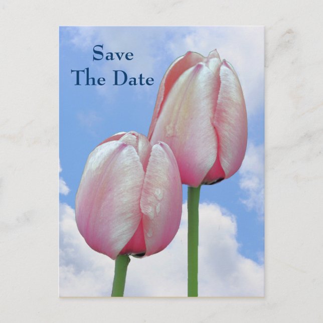 Carte Postale Faire-part Enregistrer la date Pink Tulips Blue Sky Flower Ca (Devant)