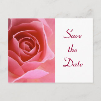 Carte Postale Faire-part Enregistrer la date rose rose rose