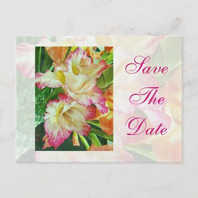 Carte Postale Faire-part Enregistrez la date Gladiola texturé (Devant)