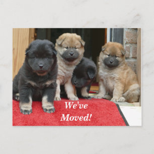 Carte Postale Faire-part Espagnol Tibétain Nous avons déménagé Nouvelle Adr