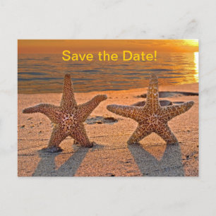 Carte Postale Faire-part Étoile de mer Enregistrez la date