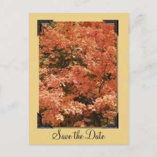 Carte Postale Faire-part Faire part de mariage aux feuilles orange d'automn