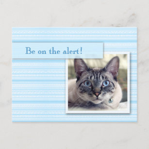 Carte Postale Faire-part Faites gagner la date avec un chat avec les yeux