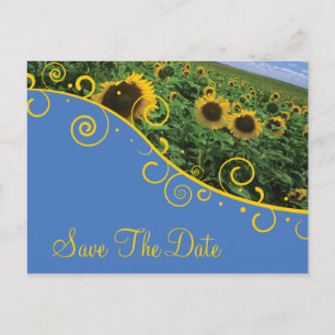 Carte Postale Faire-part Faites gagner la date - tournesols
