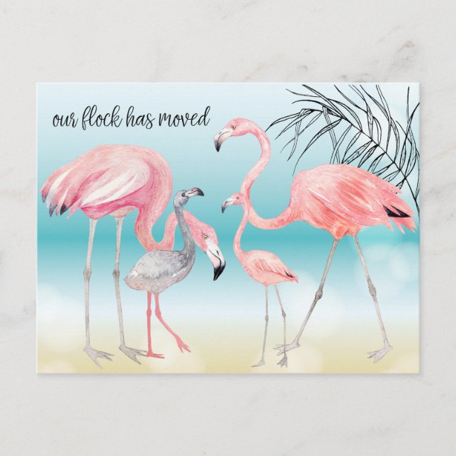 Carte Postale Faire-part Famille de Flamants Roses sur la Plage Bokeh Nouve (Devant)
