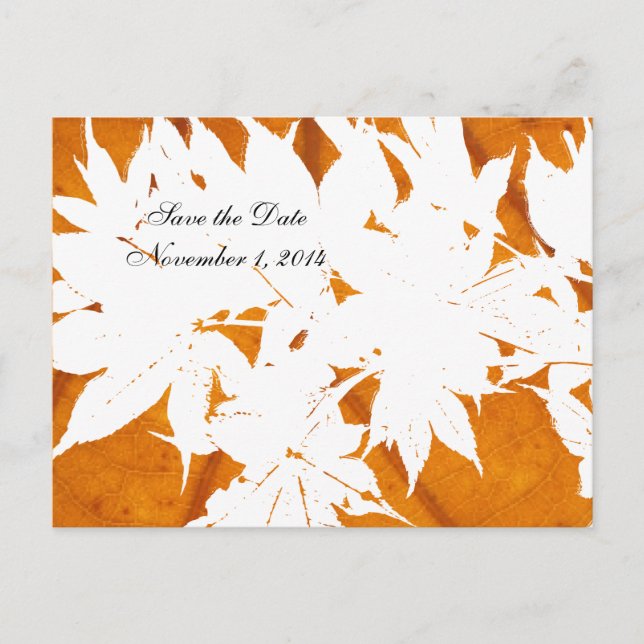 Carte Postale Faire-part Feuille sur des économies d'orange de feuille la (Devant)