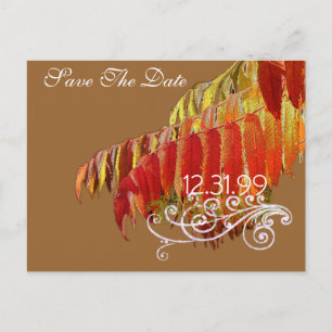 Carte Postale Faire-part Feuilles Sauvegarder La Date
