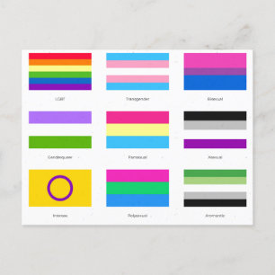 Carte Postale Faire-part Fierté LGBTQIA 9 x DRAPEAUX Tendance de sensibilis