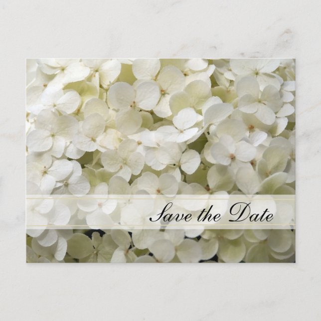 Carte Postale Faire-part Fleur de Hortensia Blanc Mariage Sauvegarder la Da (Devant)