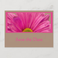 Fleur de marguerite rose Enregistrer la date Annon