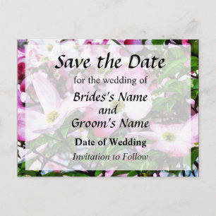 Carte Postale Faire-part Fleurs de Cornouiller Rose Enregistrer la Date