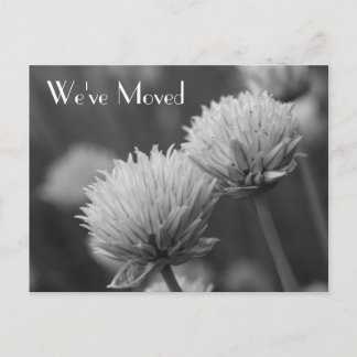 Carte Postale Faire-part Fleurs noires et blanches Nouvelle adresse