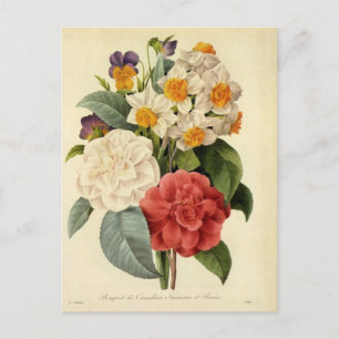 Carte Postale Faire-part Fleurs vintages, Camellias et Narcisse, Redoute