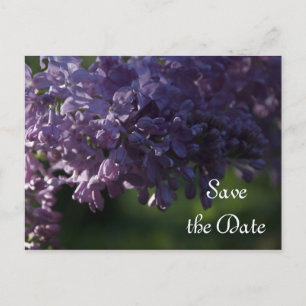 Carte Postale Faire-part Fleurs violettes Lilac Mariage Enregistrer la date