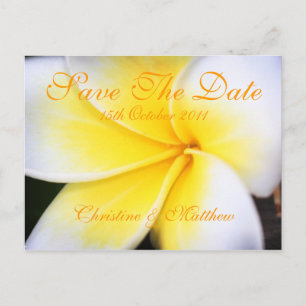 Carte Postale Faire-part Frangipani - Enregistrer La Date