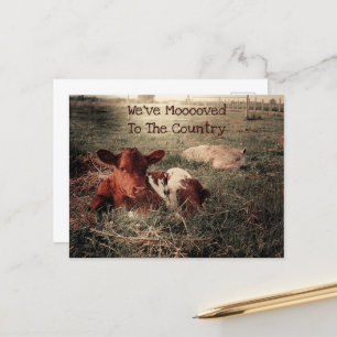 Carte Postale Faire-part Funny Cow Rustic Country Farm Moving