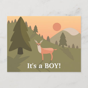 Carte Postale Faire-part Funny "How Old" Whitetail Buck Baby 