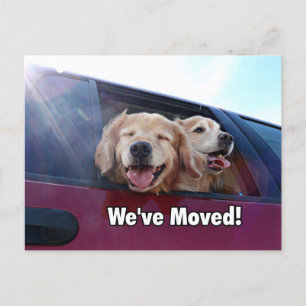 Carte Postale Faire-part Golden retriever nous avons déplacé la nouvelle
