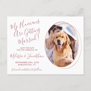Carte Postale Faire-part Humains Se Marier Photo Animal Mariage Rose Or