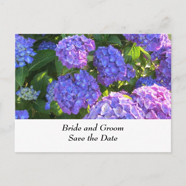 Carte Postale Faire-part Hydrangeas de mariage bleues et violettes (Devant)