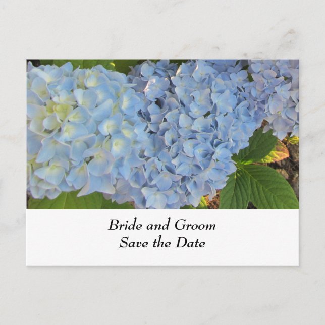 Carte Postale Faire-part Hydrangeas de mariage bleus et mauves (Devant)