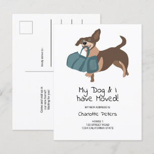 Carte Postale Faire-part Illustration amusante de chien de dachshund en mou