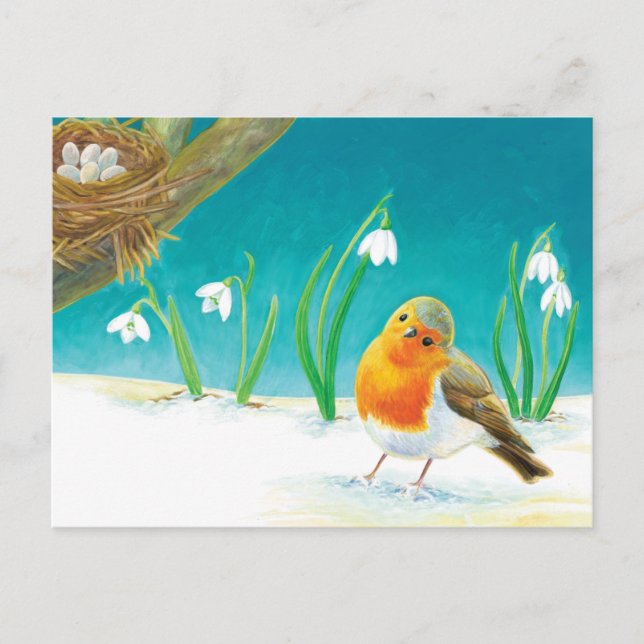 Carte Postale Faire-part Illustration Red Robin (Devant)