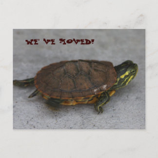 CARTE POSTALE FAIRE-PART IMG_1195, NOUS AVONS DÉMÉNAGÉ !