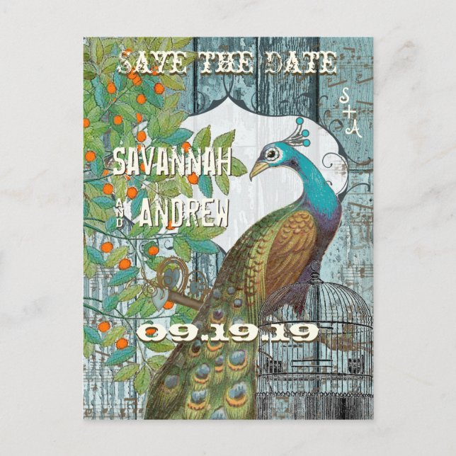 Carte Postale Faire-part Inséparable Peacock assis dans un arbre Enregistre (Devant)