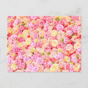 Carte Postale Faire-part Jardin rose