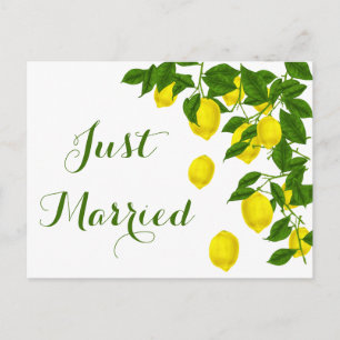 Carte Postale Faire-part Jaune Juste Marié Citron Vert Mariage Agrumes