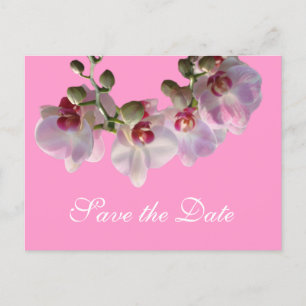 Carte Postale Faire-part jolies fleurs d'orchidées roses sauver la date