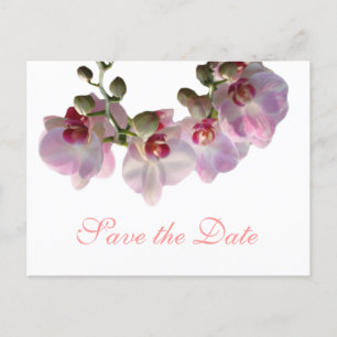 Carte Postale Faire-part jolies fleurs d'orchidées roses sauver la date mar