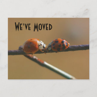 Carte Postale Faire-part Kisser Ladybugs Nouvelle adresse Nature
