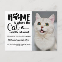 La maison est là où est le chat et les chats se so