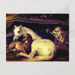 Carte Postale Faire-part Landseer Les Chevaux De Tente Arabes