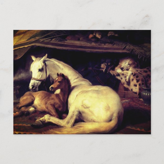 Carte Postale Faire-part Landseer Les Chevaux De Tente Arabes (Devant)