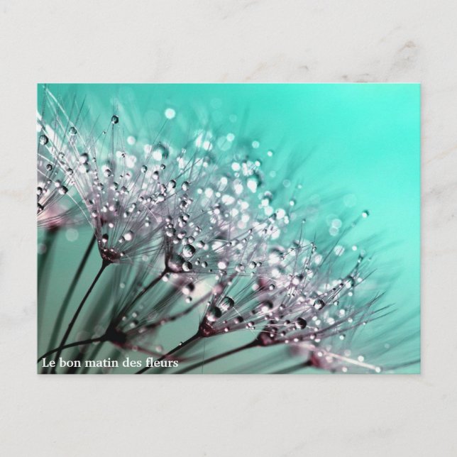 Carte Postale Faire-part Le bon matin des fleurs (Devant)