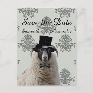 Carte Postale Faire-part Les moutons drôles de marié de mariage font gagner