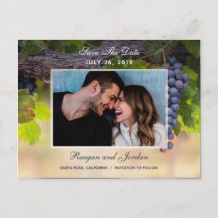 Carte Postale Faire-part Les raisins sur les vignes Photo Enregistrer la ca
