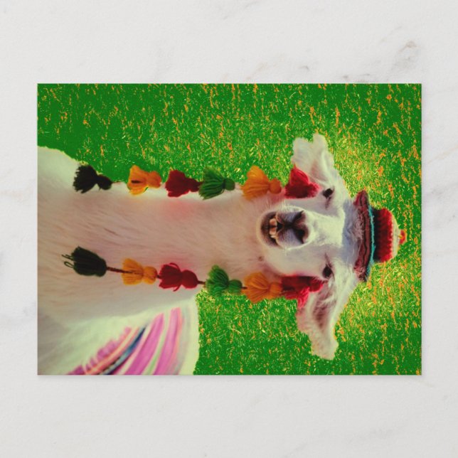 Carte Postale Faire-part Llama à Chiloe-Chili avec ornements (Devant)