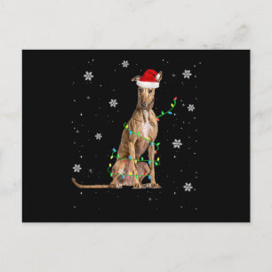 Carte Postale Faire-part Lumière de Noël Whippet Cute Santa Whippet Noël