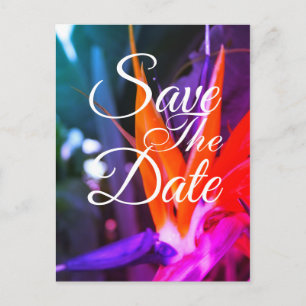 Carte Postale Faire-part Magnifique Oiseau de Paradis Mariage Enregistrer l