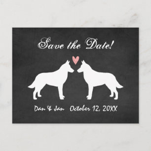 Carte Postale Faire-part Malinois belge Tableau de mariage Enregistrer la d