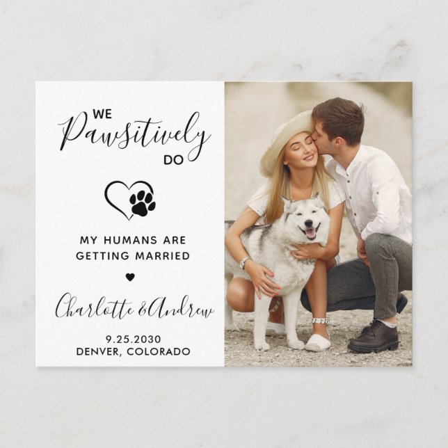 Carte Postale Faire-part Mariage d'animaux de compagnie moderne Photo de ch (Devant)