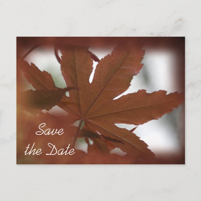 Carte Postale Faire-part Mariage de automne japonais Maple Leaf Enregistrer (Devant)